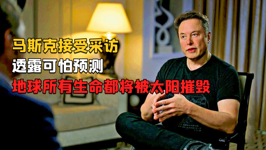 16只准搜救犬考编失败求领养,2025资料免费大全新奥彩,最新核心解答落实_VR版V3.51